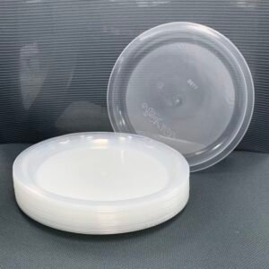 Disposable Plastic Plate Set